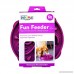 Outward Hound Fun Feeder Slow Feed Interactive Bloat Stop Dog Bowl - B00FPKNRG4