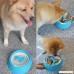 Palmula Slow Feeder Anti Choking Dog Bowl Eating Sport Interactive Bone Shaped Roatating Dieting Bowl For Dog or Cat - B07DDG95PN