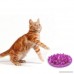 Patgoal Cat Catch Interactive Feeder Bowl Slow Feed Anti-gulping Bloat Stop Pet Bowl - B0718ZRP89