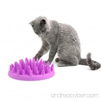 Patgoal Cat Catch Interactive Feeder Bowl Slow Feed Anti-gulping Bloat Stop Pet Bowl - B0718ZRP89