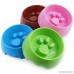 Slow Feeder Bowl Pet Fun Interactive Slow Feed And Drink Water Bowl Anti-Choke Heavy Duty Non-skid Healthy Eating Diet Bloat Stop for Dog Cat Puppy Green/Pink/Blue/Brown - B072VPHM4Q