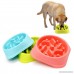 TechDutch Pet SLOW FEEDER DOG BOWL DOG DRINK WATER BOWL – FUNY AND HEALTHY INTERACTIVE FEEDER STOPS DOG BLOAT CONDITION BY EATING MORE SLOWLY - B074DJ6TPV