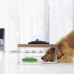 Walover Slow Pet Feeder Bowl Anti-choke for Feeding Dogs&Cats - B07BHRH3M5