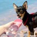 FX Dog Water Bottle Outdoor Walking Portable Pet Travel Water Drink Cup Portable Puppy Water Dispenser Leak Proof Portable Fast and Easy - Food Grade Silicone - B07D3WRYXJ