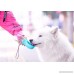 LibbyPet Dog Water Bottle for Walking Portable Pet Outdoor Drinking Cup Fashion Easily Taking Antibacterial for Cats Travel Water Cup Bowl 350ml/12oz - B07C1L5YWL