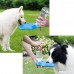 PETOU Portable Pet Travel Water Dispenser –Dog Water Bottle 17oz Outdoor - B074PKZHVB