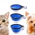 Pluv Pet Portable Water Bottle (700 ML/23 oz) with Collapsible Bowl for Dogs Cats and Rabbit Small Animal Travel Drinker BPA Free No Drip (Blue) - B07DKZ3CHX