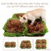 AISITIN Dog Snuffle Mat Feeding Mat Dog Smell Training Mat Stress Release Nosework Blanket Durable and Machine Washable Dogs Puzzle Toys Encourages Natural Foraging Skills - B078ZGH2XQ