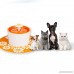 Baosity Pet Feeding MAT Dog/Puppy/Cat/Kitten Feeding/Food Mat Dish/Bowl Place Mat (Flower Print) - B07F8CNV2G