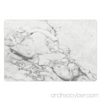 Lunarable Marble Print Mat for Food and Water  Old Fashion Grungy Cultured Marbling Motif Formation Lines Retro Artsy Design Print  Rectangle Non-Slip Rubber Mat for Dogs and Cats  White Grey - B0764CGRW2