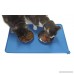 New Premium Pet Food Mat 18.5x11.5 in FDA Grade Silicone by Tip-Top Petware - B00XWXMWW6