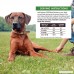 Wellness Natural Pet Food CORE Grain Free Dog Food Mixers & Toppers - B07BRQ3QPW