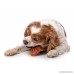 HARTZ Oinkies All Natural Baked Pig Ear Dog Treat Chews - 6.1oz - B00Z6I0YG6