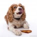 HARTZ Oinkies All Natural Baked Pig Ear Dog Treat Chews - 6.1oz - B00Z6I0YG6