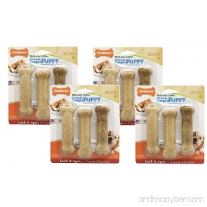 12-Count Nylabone Healthy Edibles Lamb and Apple Flavored Puppy Dog Treat Bones Size Regular - (4 Packs with 3 per Pack) - B01BCOM06Y