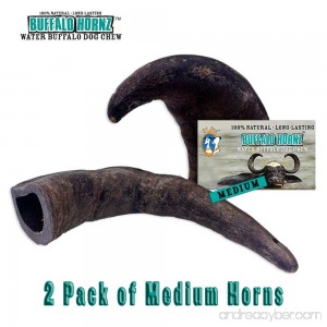 2 Pack of Buffalo Hornz Medium Long Lasting 100% Natural Water Buffalo Horn Dog Chews - B073ZMSTVB