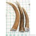 3-Pack Elk Antler Dog Chews Medium Tines 6 inches to 10 inches Long for Small to Medium Sized Dogs and Puppies - Big Dog Antler Chews Brand - B01L7VDSP4