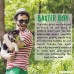 Baxter Boy Premium Grade Roasted Meaty Beef Shin Bone Dog Treats (3 Pack) – 8” Long Lasting All Natural Gourmet & Healthy Dog Bone Treat Chews – Tasty Smoked Beef Flavor - B07CN71K38