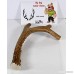 Big Dog Antler Chews - Deer Antler Dog Chew Medium 9 Inches to 13 Inches Long. Perfect for your Medium to Large Size Dogs and Puppies! Grade A Premium. Happy Dog Guarantee! - B019KZRGTS