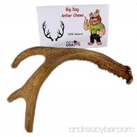 Big Dog Antler Chews - Deer Antler Dog Chew  Medium  9 Inches to 13 Inches Long. Perfect for your Medium to Large Size Dogs and Puppies! Grade A Premium. Happy Dog Guarantee! - B019KZRGTS