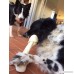Brazilian Pet Rawhide Bones Bulk for medium and large dogs - Natural rawhide protein treats knot bone chews - B074HJ4L6J