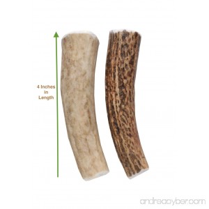 Buck Bone Organics Elk Antler Dog Chew for Small Dogs Two Sizes Small and Small Double Pack All Natural Long Lasting From the Rocky Mountains Happy Chewing! - B00WAJ6NYG