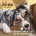 Elk Antler Dog Chews by Buck Bone Organics ~ All Natural Healthy Chew Large Split 6-7 From Montana Made in USA - SPLIT - B00WAJGTWC