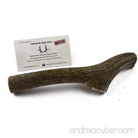 GIANT Elk Antlers for Dogs Large  XX Large Grade A Premium Natural Antler Dog Chew  1 Antler  Made In USA  For Large  Extra Large & Aggressive Chewers  Hand Picked & Inspected for JimHodgesDogTraining - B0745FCN8N