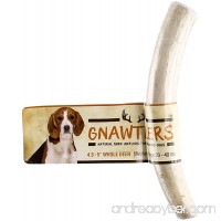 Gnawtlers - Premium Deer Antlers For Dogs  Naturally Shed Deer Antlers  All Natural Deer Antler Dog Chew  Specially Selected From The Heartland Regions - B06XKT7Z8X