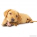 Nylabone Healthy Edibles Puppy Chew Treats - B001B4X7DQ