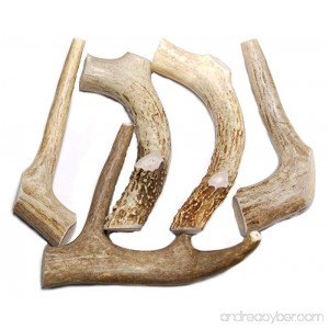 One Pound Deer Antler Dog Chews for Small to Medium Size Dogs - 5 to 6 Inches Long - Antlers by the pound - Big Dog Antler Chews Brand - B07BN6447Q
