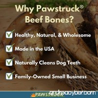 Pawstruck Meaty Dog Bones - Bulk Beef Dog Dental Treats & Chews  Made in USA  American Made  Shin Femur Meat Bone - B00XNZZJVO