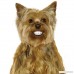 Pedigree Dentastix Toy/Small Dog Treats - B002CZLOIS