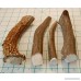 Premium Deer Antler Pieces - by Big Dog Antler Chews - Antlers by the Pound One Pound - Six Inches or Longer - Medium Large and XL - Happy Dog Guarantee! - B01AFEP9J2