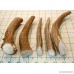 Premium Deer Antler Pieces - by Big Dog Antler Chews - Antlers by the Pound One Pound - Six Inches or Longer - Medium Large and XL - Happy Dog Guarantee! - B01AFEP9J2