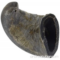QT Dog Water Buffalo Horn Treat (1 Each)  Small - B01CNONKBQ