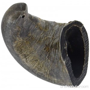 QT Dog Water Buffalo Horn Treat (1 Each) Small - B01CNONKBQ