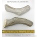 WhiteTail Naturals 2 Pack - XX Large - Premium Deer Antler for Dogs All Natural Dog Chews - B076133834