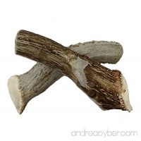WhiteTail Naturals 2 Pack - XX Large - Premium Deer Antler for Dogs  All Natural Dog Chews - B076133834